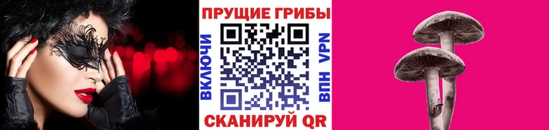 Галлюциногенные грибы ЛСД  Курганинск 