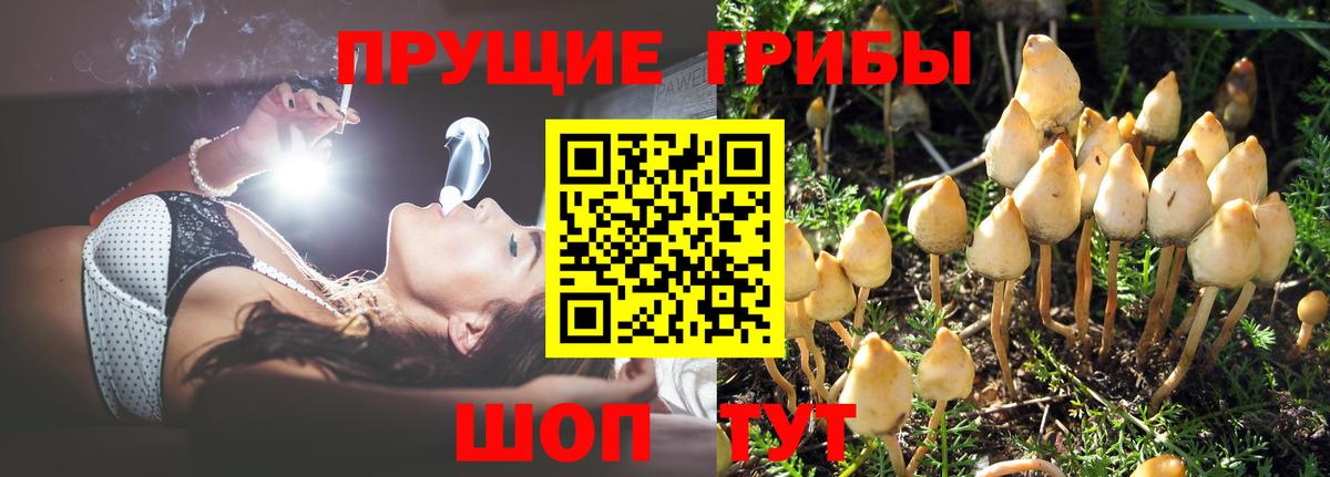 Курганинск  Псилоцибиновые грибы ЛСД  Вход с VPN 